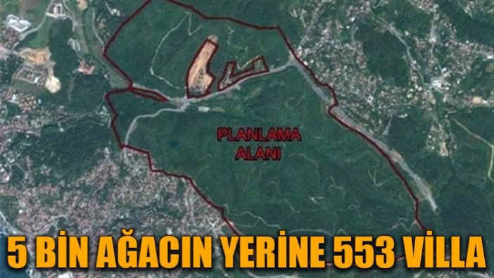 5 bin ağacın yerine 553 villa