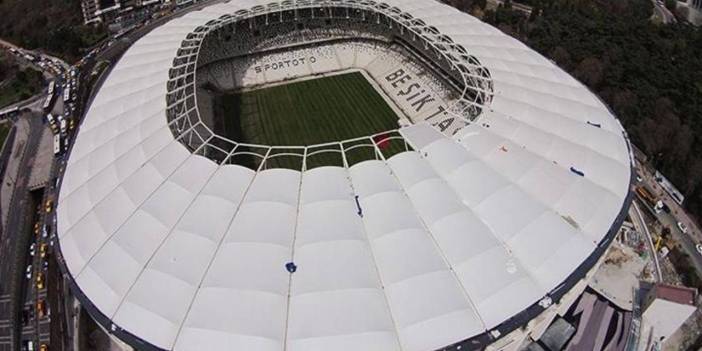 Beşiktaş'ın Stadyumunu Martılar Bastı!