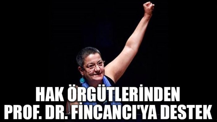 Hak örgütlerinden Prof. Dr. Fincancı'ya destek