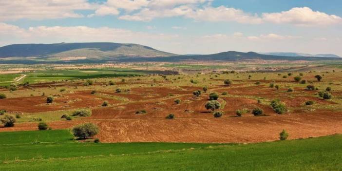 15 bin lirası olana arsa tapusu verilecek! Milli Emlak o şehirlerde sudan ucuza arsa satacak