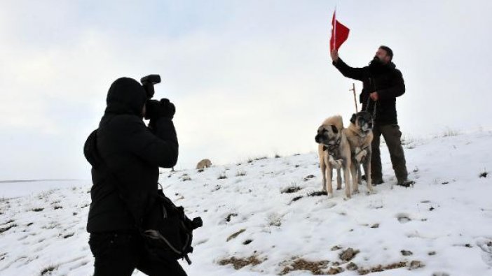 İtalyan basınının Kangal köpeği ilgisi