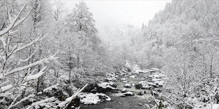 Kar Yağışı Rize ve Artvin'i Vurdu: Çok Sayıda Köy Yolu Ulaşıma Kapandı