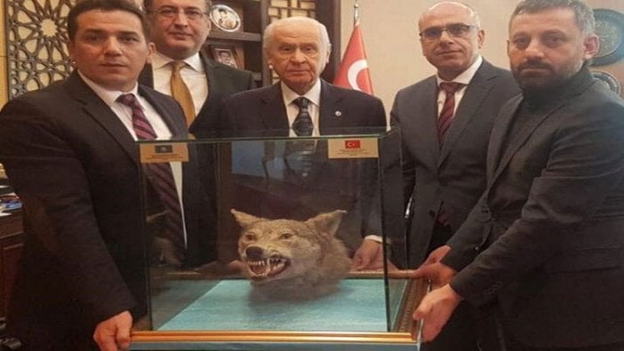 Bahçeli'ye doğum gününde kurt kafası hediyesi