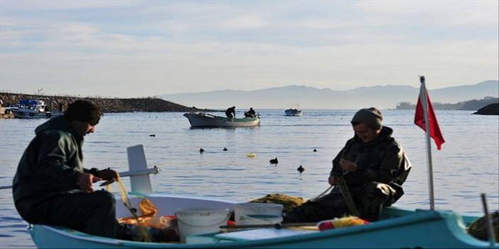 Deniz Suyu Isındı, Avcılar Yaşadı