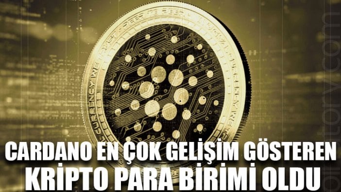 Cardano en çok gelişim gösteren kripto para birimi oldu