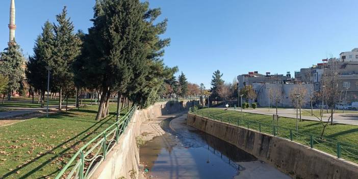 Vahşet: Dere Kenarında Bebek Cesedi Bulundu!