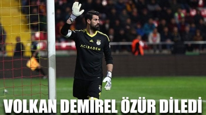 Volkan Demirel özür diledi