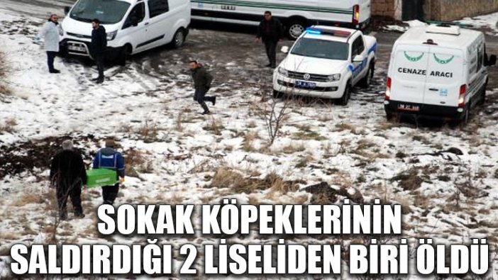 Sokak köpeklerinin saldırdığı 2 liseliden biri öldü