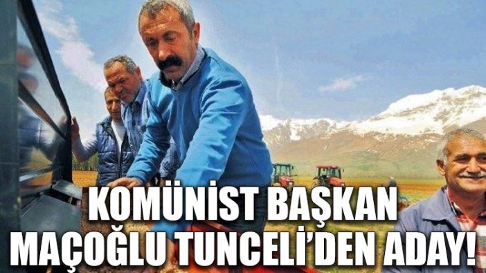 Komünist Başkan Maçoğlu, Tunceli'den aday!