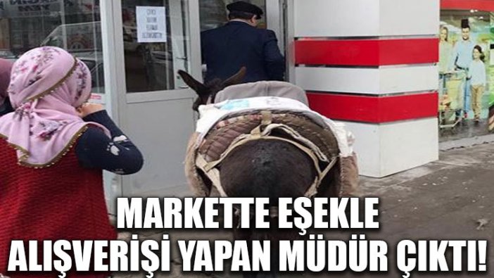 Markette eşekle alışverişi yapan müdür çıktı!