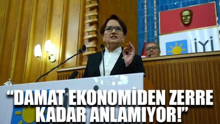 Meral Akşener: Damat ekonomiden zerre kadar anlamıyor!