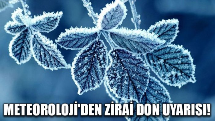 Meteoroloji'den zirai don uyarısı!