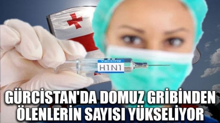 Gürcistan'da domuz gribinden ölenlerin sayısı yükseliyor