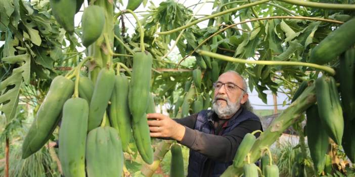 Hobi Olarak Başladığı Çiftçilikte İhracat Devi Oldu