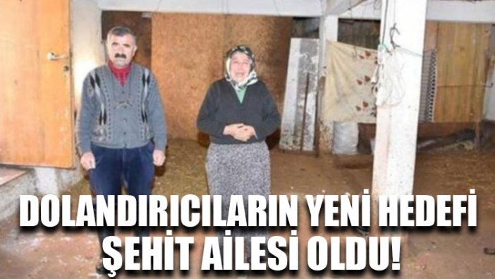 Dolandırıcıların yeni hedefi şehit ailesi oldu!