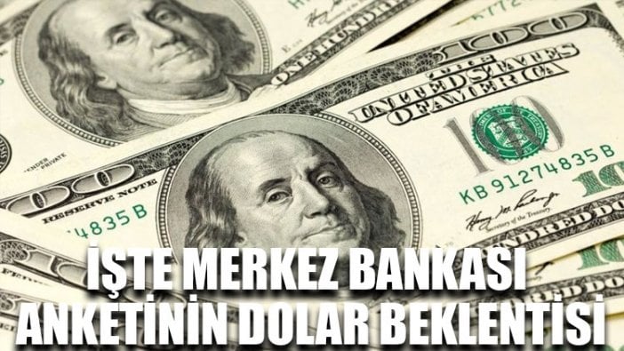 İşte Merkez Bankası anketinin dolar beklentisi