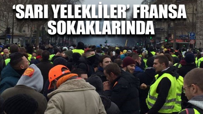 ‘Sarı yelekliler’ Fransa sokaklarında