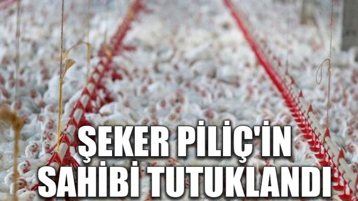 Şeker Piliç'in sahibi tutuklandı