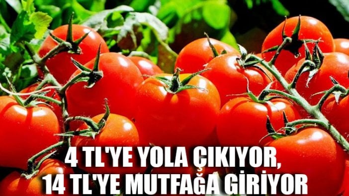 4 TL'ye yola çıkıyor, 14 TL'ye mutfağa giriyor