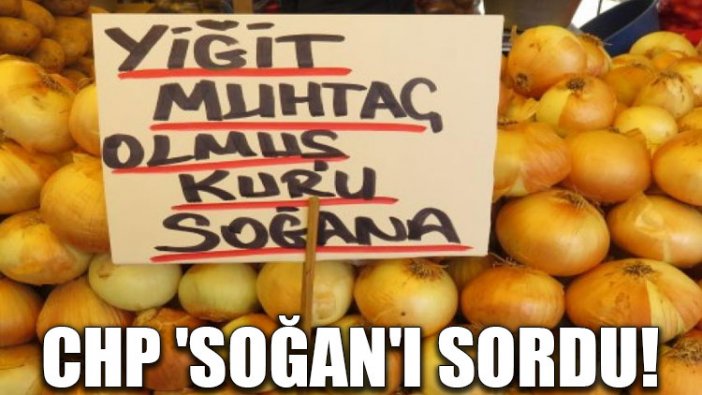 CHP 'soğan'ı sordu!