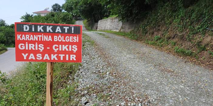 Kuduz Karantinası Başladı: Mahalleye Giriş Çıkışlar Yasaklandı!