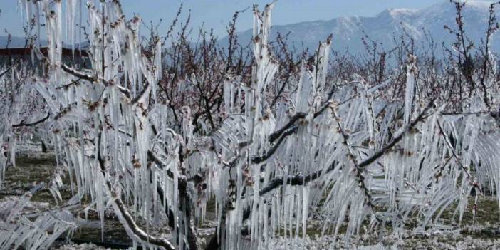 Rize, Erzurumu Geçti: En Soğuk Geceyi Gecerdi