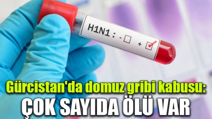 Gürcistan'da domuz gribi kabusu: Çok sayıda ölü var