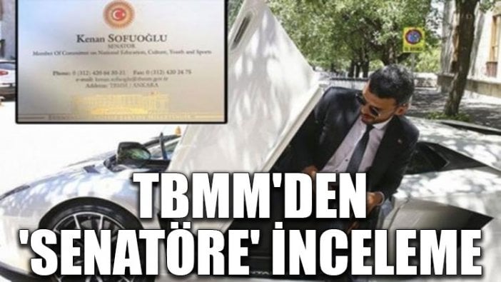 TBMM'den 'senatöre' inceleme