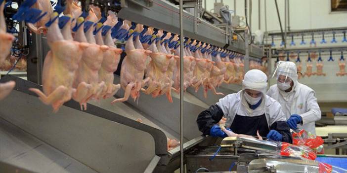 Tavuk Eti Fiyatları Ramazan Öncesi Arttı! Talep Yükselince Rakamlar Bu Seviyeleri Görmeye Başladı