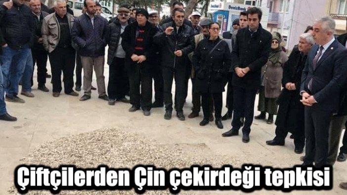 Çiftçilerden Çin çekirdeği tepkisi