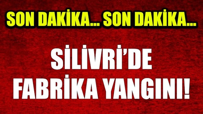 Silivri'de fabrika yangını!