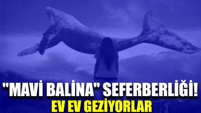 "Mavi Balina" seferberliği! Ev ev geziyorlar