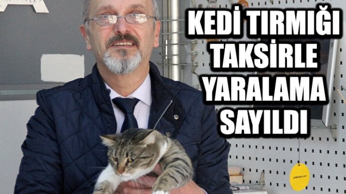 Kedi tırmığı ‘taksirle yaralama’ sayıldı