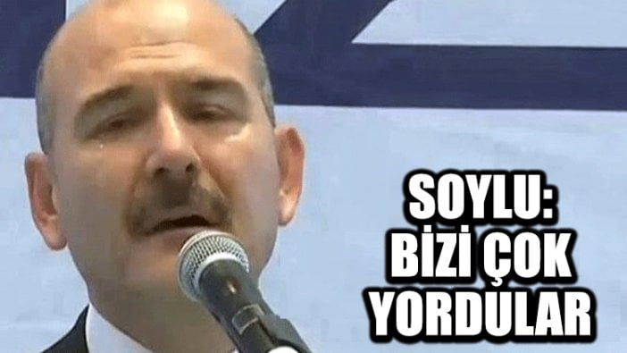 Soylu: Bizi çok yordular