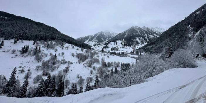 Artvin'de Yollar Ulaşıma Kapandı, Evleri Su Bastı