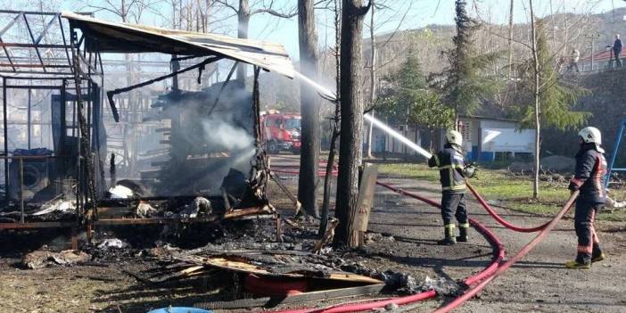 Ordu'da Kamp Alanı Alevlere Teslim Oldu