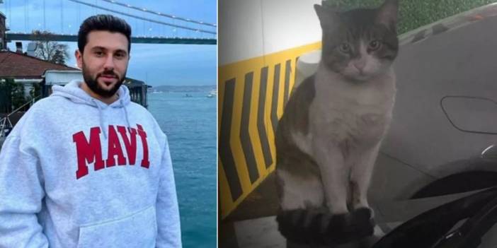 Kedi Katiline Verilen Cezada Flaş Gelişme!