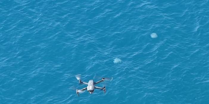 Antalya kıyılarında dron ile görüntülendi. Her biri şemsiye büyüklüğünde! Bakın bunlar neymiş