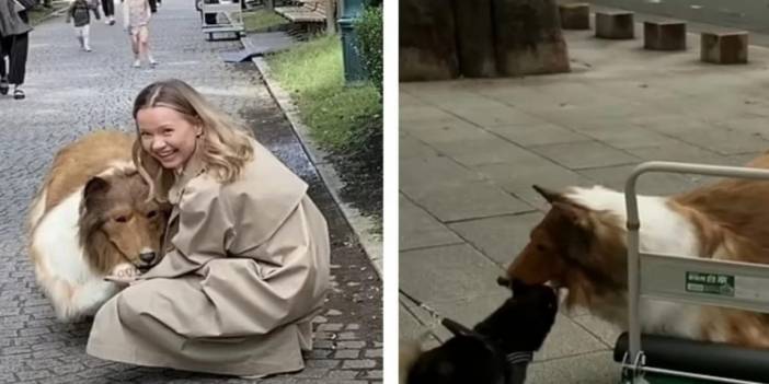 Servet Harcayıp Köpek Olmuştu: Yeni Yaptığı Hareketle Herkesi Şoke Etti