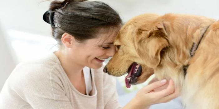 Köpeklerin kimin stresli olduğunu anlaması yalnızca birkaç saniye sürer