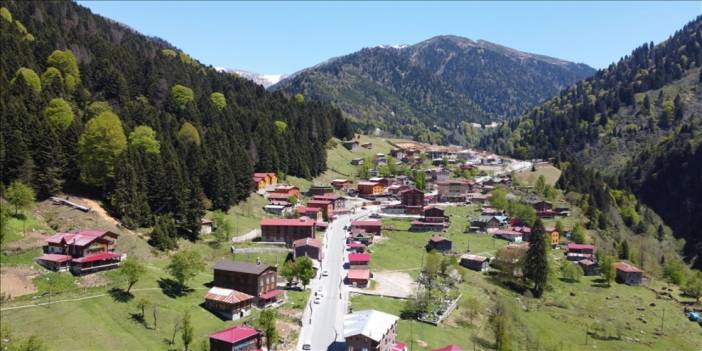 Rize'nin Benzeri Olan Şehir Neresidir? Yapay Zeka Cevapladı. Cevap Şaşırttı