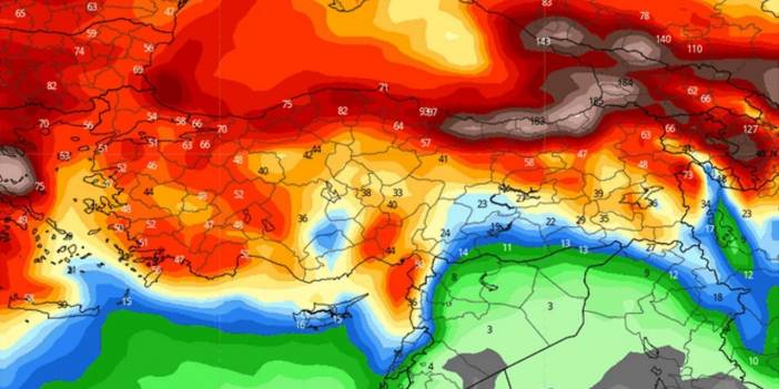 Afrika'dan Gelip Türkiye'ye Giriş Yaptı! Tüm Araçların Üzerini Kaplayacak, Kurtulması Çok Masraflı Olacak...