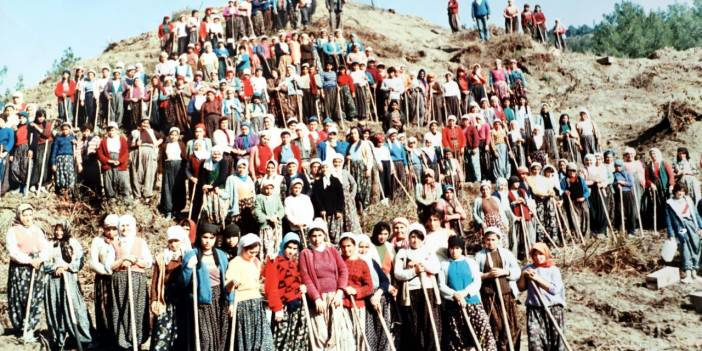 Bu Fotoğraf Tam 45 Yıl Önce Çekildi! O Çorak Arazi Şimdi...