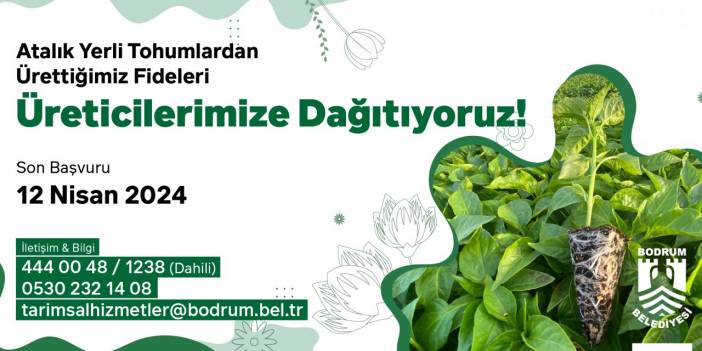 Atalık Yerli Tohumlardan Üretilen Fideler Dağıtılacak: Fide Dağıtımı için Son Başvuru 12 Nisan