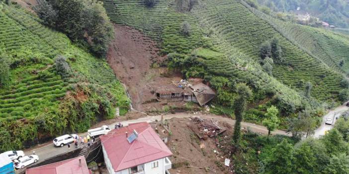 Karadeniz için heyelan riski: Kızılağaç ormanları söküldü, yerine çay dikildi, tehlike arttı