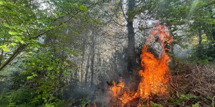 Sakarya'da Bahçe Temizliği İçin Yakılan Ateş Ormana Sıçradı