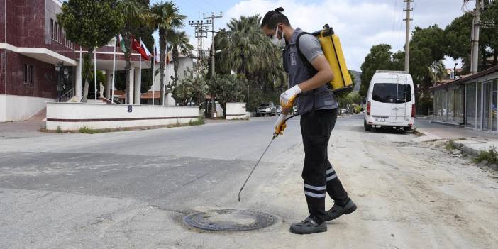 Kuşadası Belediyesi'nden Sivrisinek ve Diğer Haşerelere Karşı Düzenli İlaçlama Çalışması