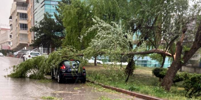 Ankara'da Fırtına Hayatı Olumsuz Etkiledi