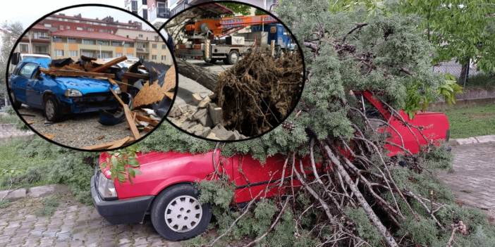 Yurt Genelinde Fırtına ve Sağanak Yağış Etkisi Devam Ediyor! Ağaçlar Devrildi, Başkent'te Fırtına Gün Boyu Devam Edecek