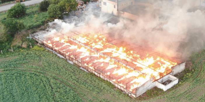 160 Tonluk Kozalak Yangını! Depodaki Alevler Küle Döndürdü